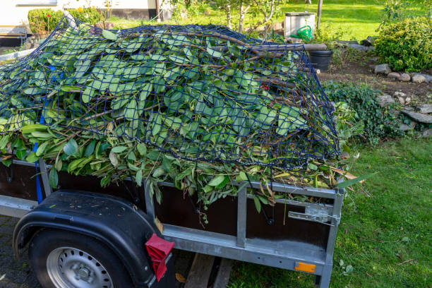 Best Dumpster Rental Services  in Kenwood Estates, FL